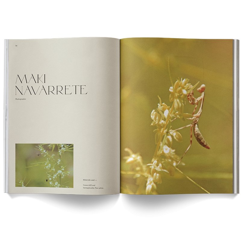 ‘A WEED IS A FLOWER’ BOOK - EcoLuxe Furnishings