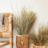 Dried Indian Rice Grass - EcoLuxe Furnishings