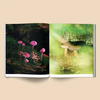 ‘Spores: Magical Mushroom Photography’ Book - EcoLuxe Furnishings