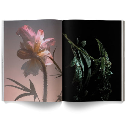 ‘A WEED IS A FLOWER’ BOOK - EcoLuxe Furnishings