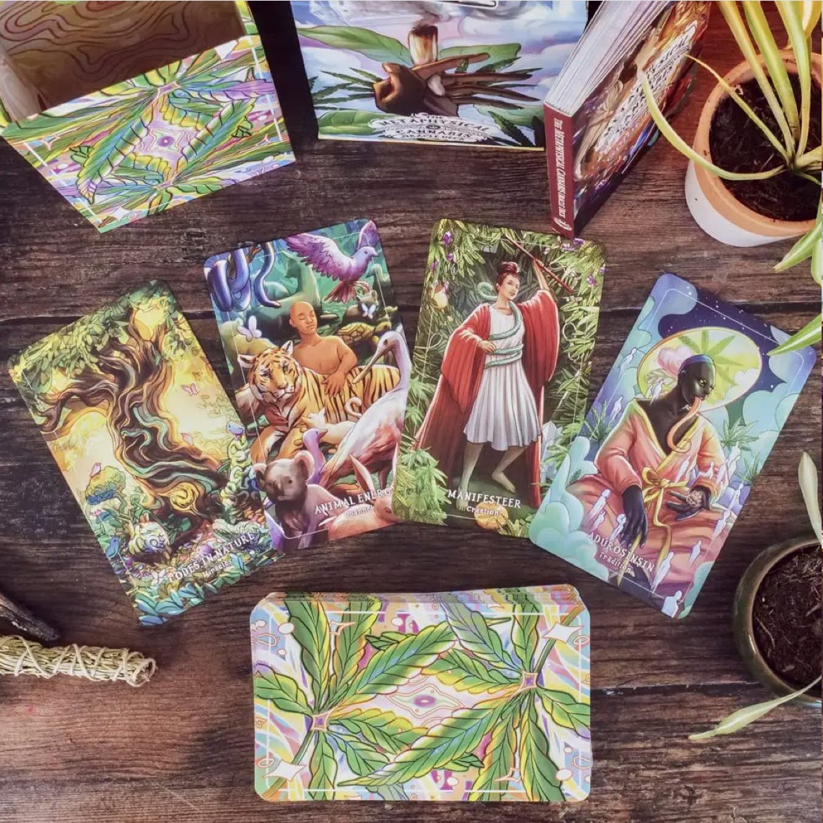 ‘Metaphysical Cannabis’ Oracle Deck - EcoLuxe Furnishings