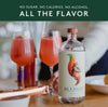 Seedlip ‘Grove 42’ | Non-Alcoholic Spirits - EcoLuxe Furnishings