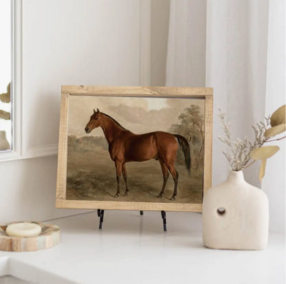 ‘Stallion’ Vintage Framed Print - EcoLuxe Furnishings
