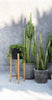 ‘The Charcoal High’ Planter, Large (Black/Natural) - EcoLuxe Furnishings